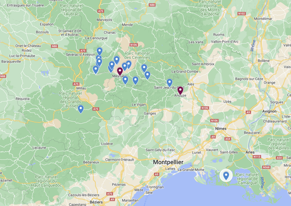 Screenshot 2024-09-15 at 16.38.04